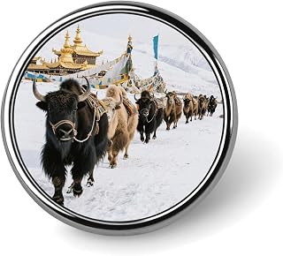 1 Inch Custom Snow Mountain Caravan Lapel Pins for Suits Funny Brooches for Men Women Vintage Pin Badges for Bags Jackets Backpacks Hats Button Badge Collection Gifts-Round