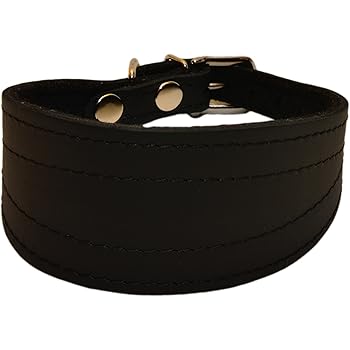 lurcher puppy collar