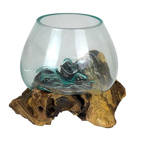 Zeckos Planter Terrarium with Molten Glass Bowl on Driftwood Base,