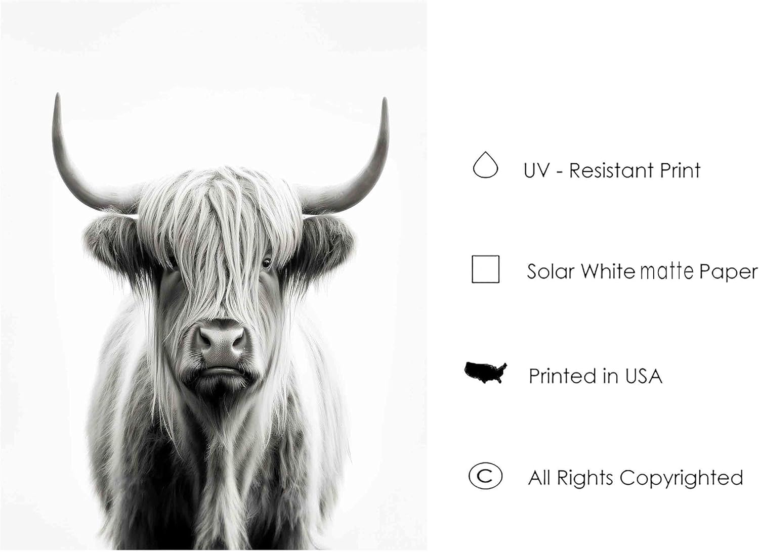 Highland Cow Art Prints Posters, Black and White Animal Photography Wall Art, Wildlife Nature Photo, Exotic Animal Wall for Bathroom Bedroom Decor 71 (Highland Cow, 8 x 10 inches, Unframed) - Image 6
