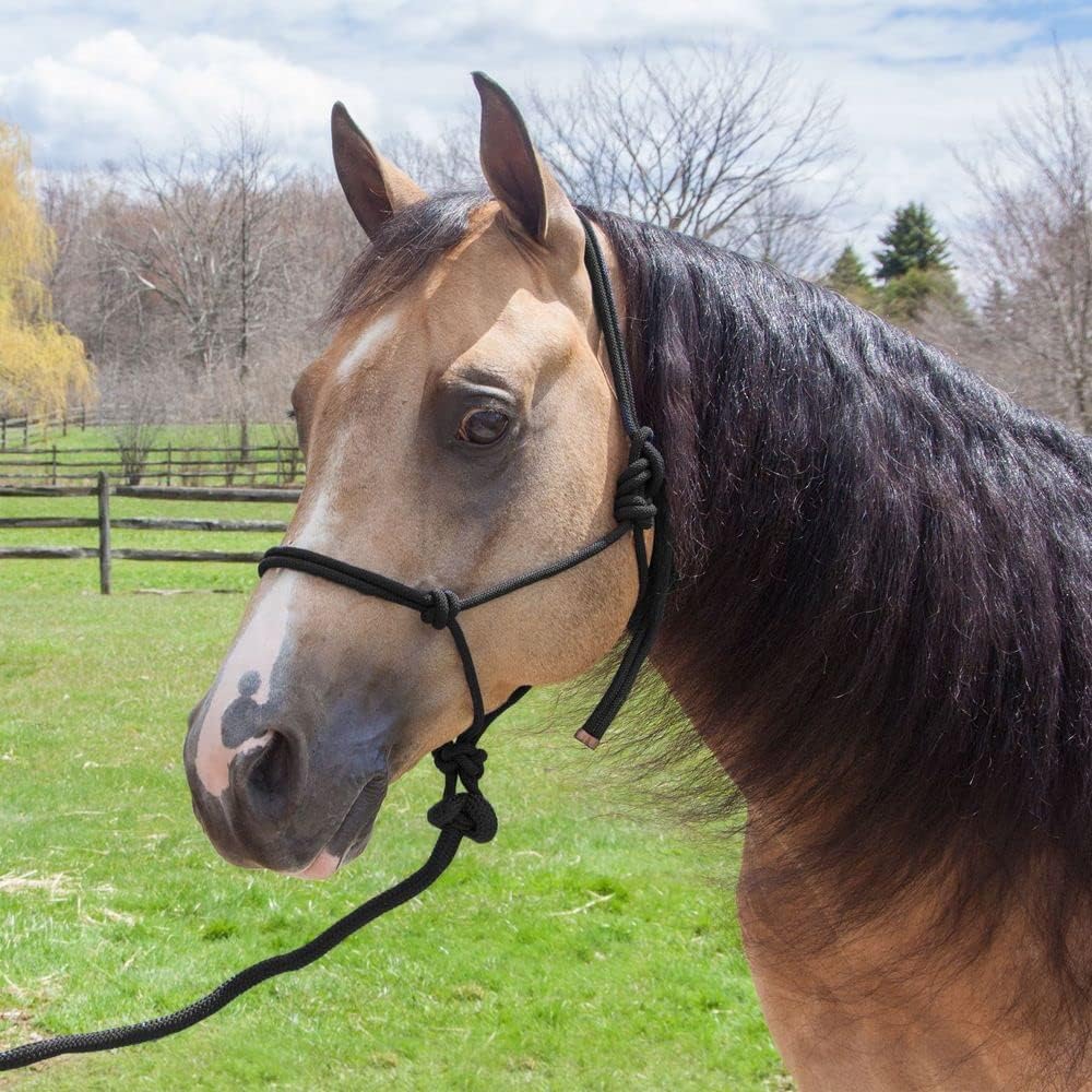 Rope Halter for Horses and Lead | Color Black Horse Equipment | Easily Adjustable Ideal for Mobility | Fits Wide Range of Horse Sizes