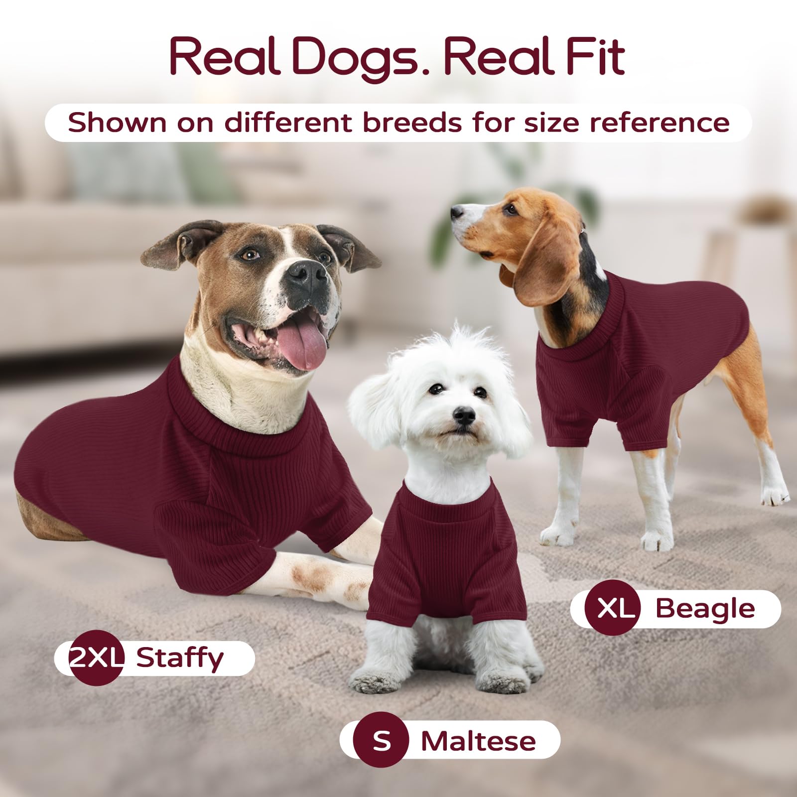 Pull en tricot pour chien L - T-shirt léger pour animal de compagnie pour Beagle - Schnauzer miniature Border Terrier - Confortable et décontracté - Pour promenades, voyage et confort à la maison