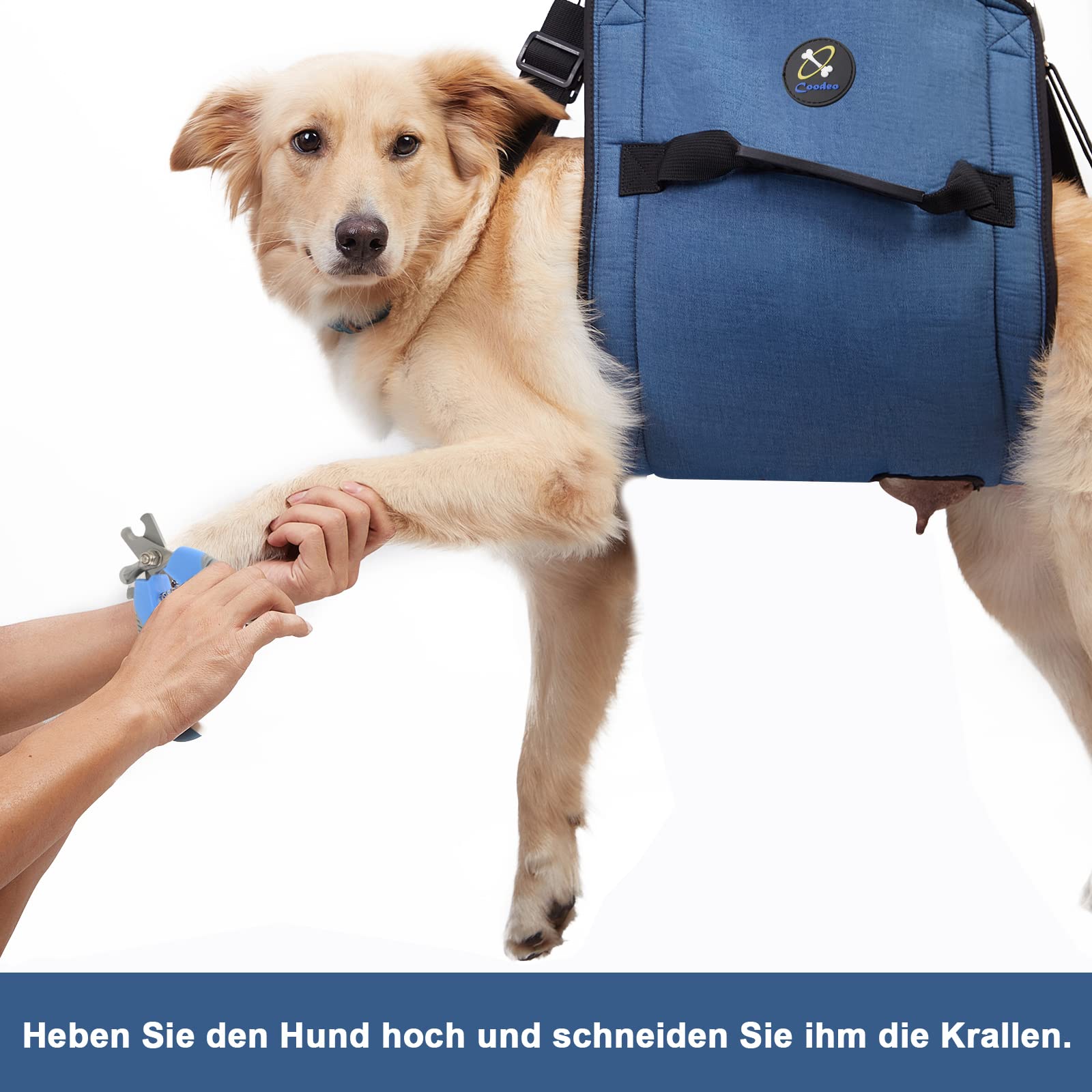 COODEO Hundetragegurt, Notfallrucksack Unterstützung für Rehabilitation Hundelift Geschirr, Hundeträger für ältere Hunde Gelenkverletzungen, Arthritis, Treppe hinauf (XL, Blau)