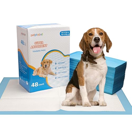 petphabet Almohadillas grandes para cachorros de 60 x 90 cm, súper absorbentes, XXL
