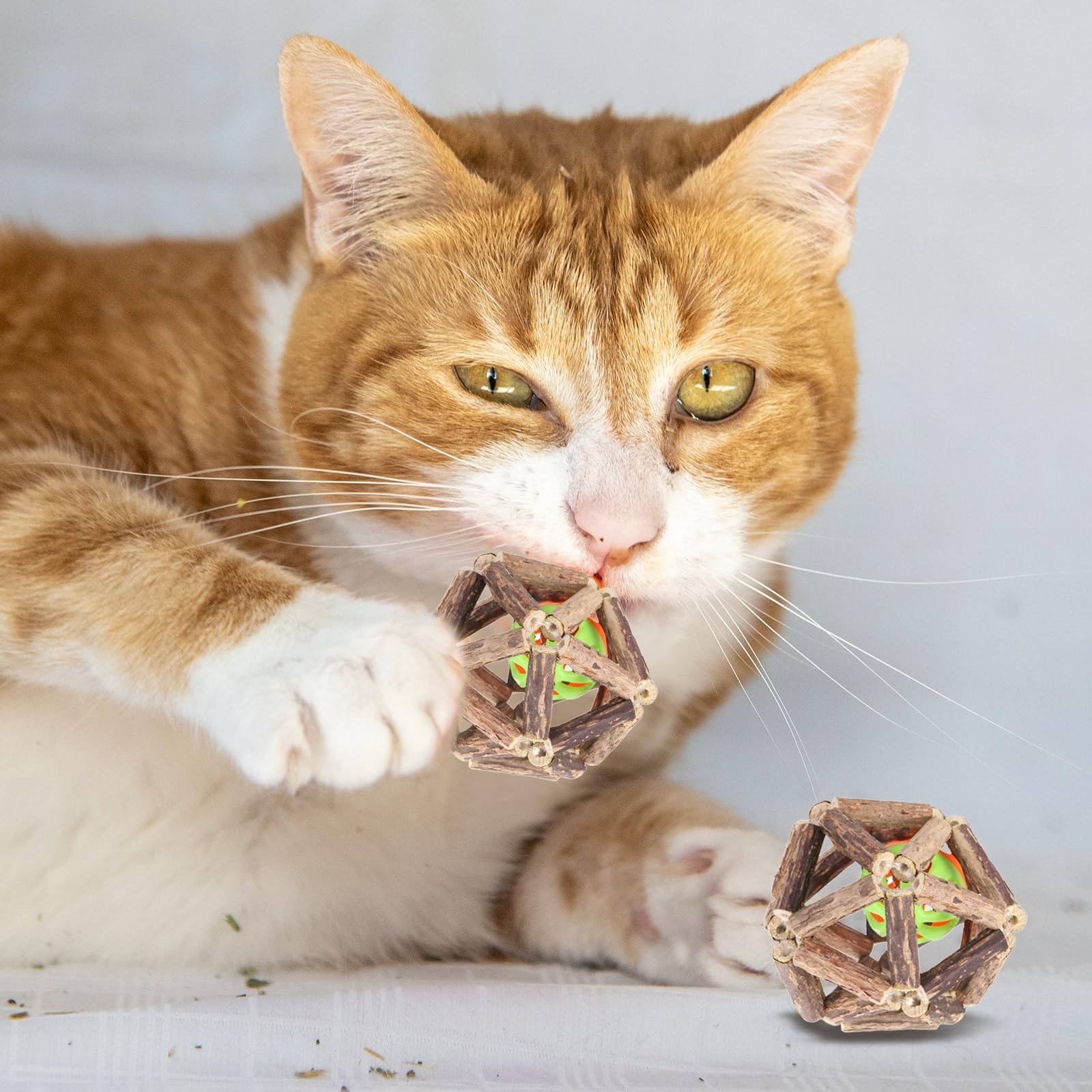 Pelotas masticables para gatos que solucionan el sarro mediante una bola de jaula de plata