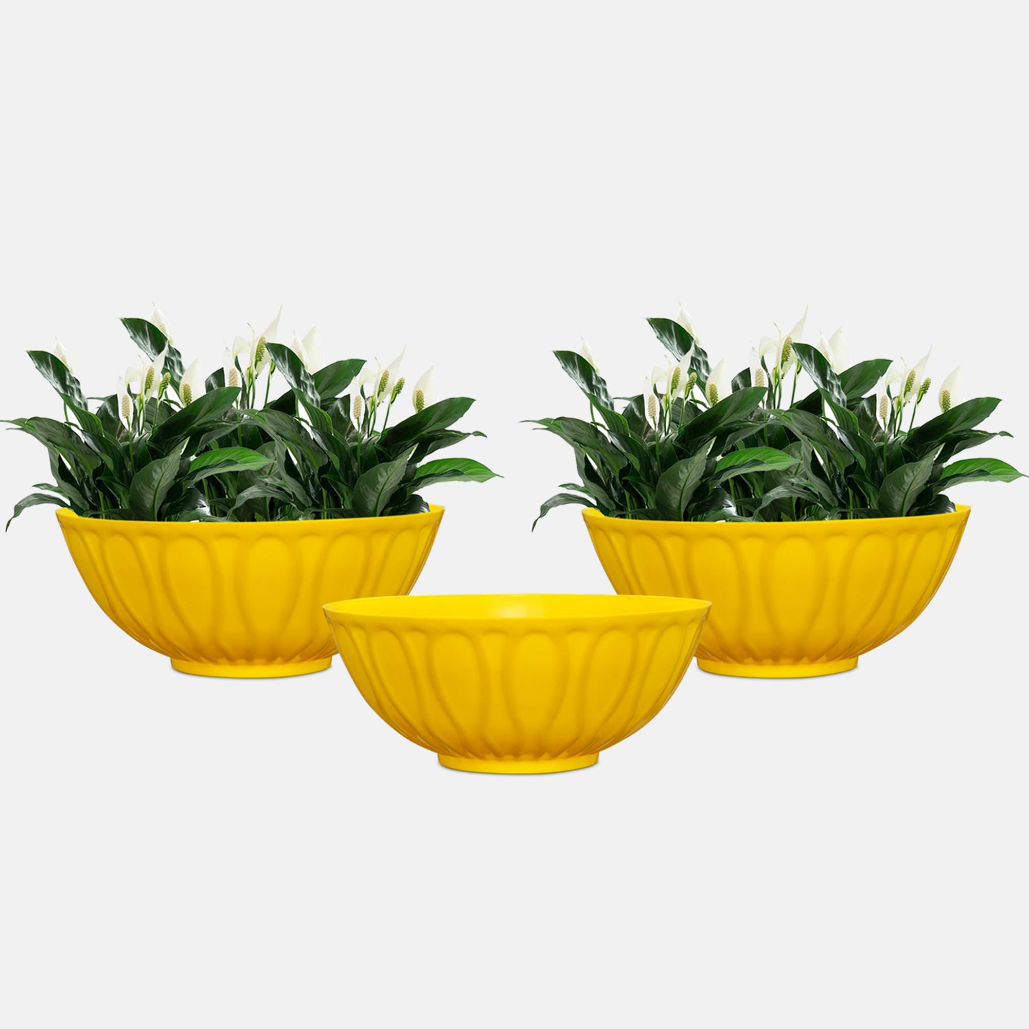 YUCCABE ITALIA SHERA Wave KTR Plastic 10 Inch Flower Pot 3 Piece Set of Round Durable Planters for Plant Unbreakable Planter for Indoor and Outdoor Garden (Yellow) (B09LS45SY4) Amazon Price History, Amazon Price Tracker