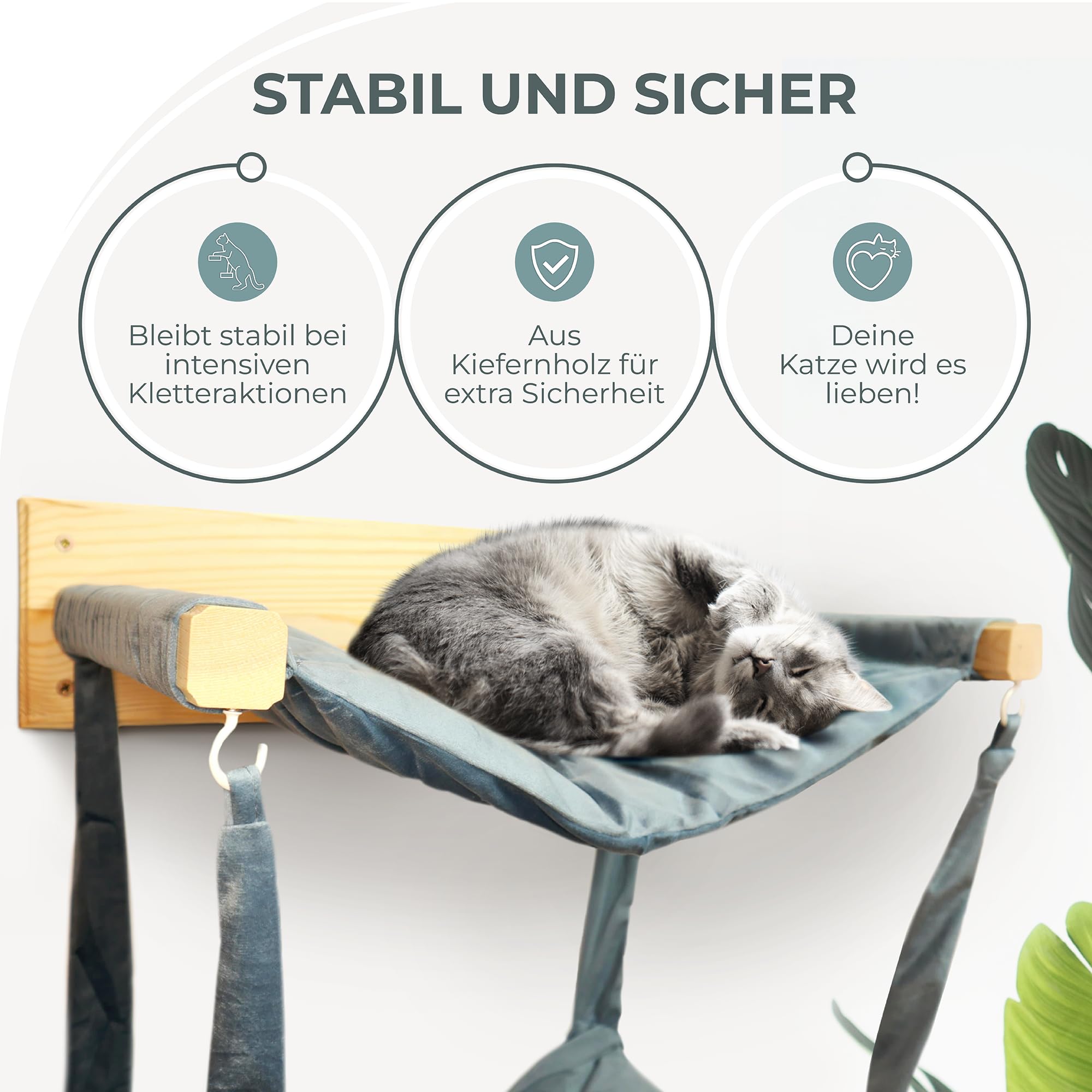 myHANA Kletterwand Katzen Kiefernholz | Hängematte Katze Wand 3 Farbvarianten| WandHängematte | Katzen Wandelemente | Katzenmöbel | Katzewandliege| Katzenbett | Wandkratzbaum