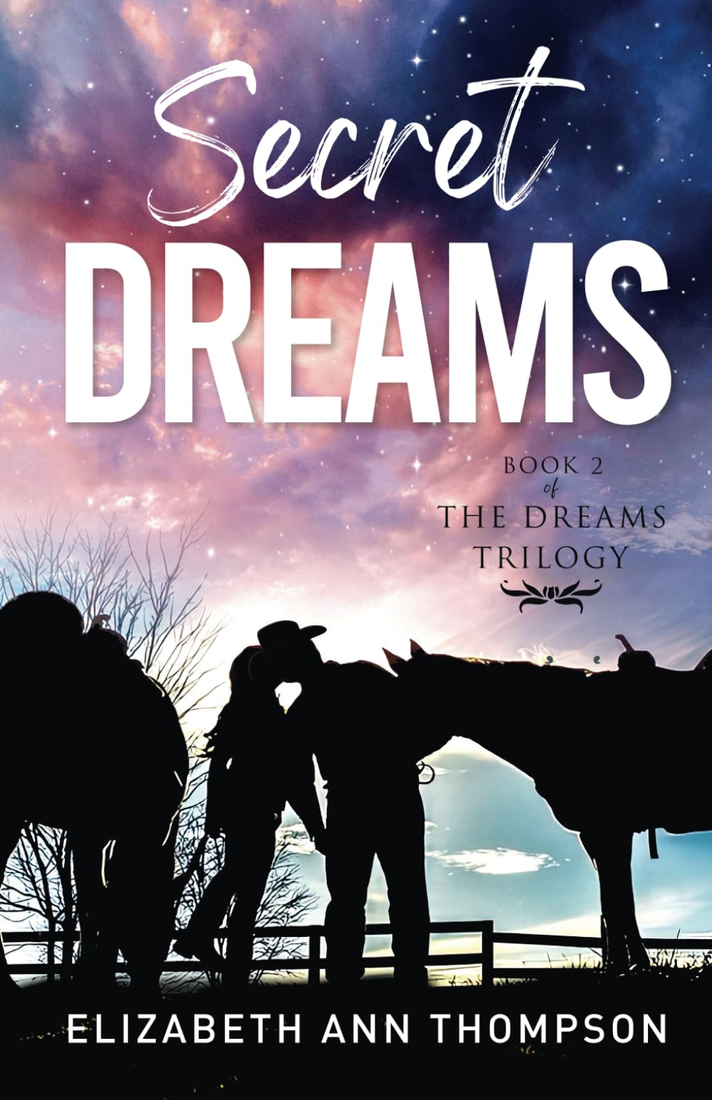 Secret Dreams: A Clean Contemporary Western Cowboy Romance: An Inspirational Small Town Romance (Dreams Sweet Small Town Family Saga)