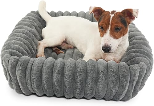 Miniatura 12 de Small Cat Beds for Indoor Cats Washable Furry Kitten Beds with Sides,Rectangle Orthopedic Soft Calming Comfy Sleeping Extra Small Pet Beds for Cats