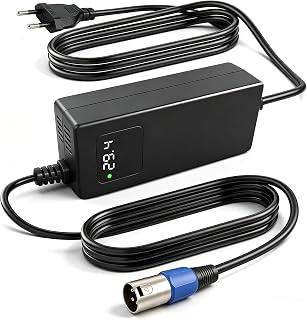 Schnellladegerät 29,4 V 4 A mit 3-poligem XLR-Anschluss 16 mm, für persönliche Transportgeräte mit 24 V Lithium-Ionen-Akku, mit LED-Anzeige der Spannung in der Zeit