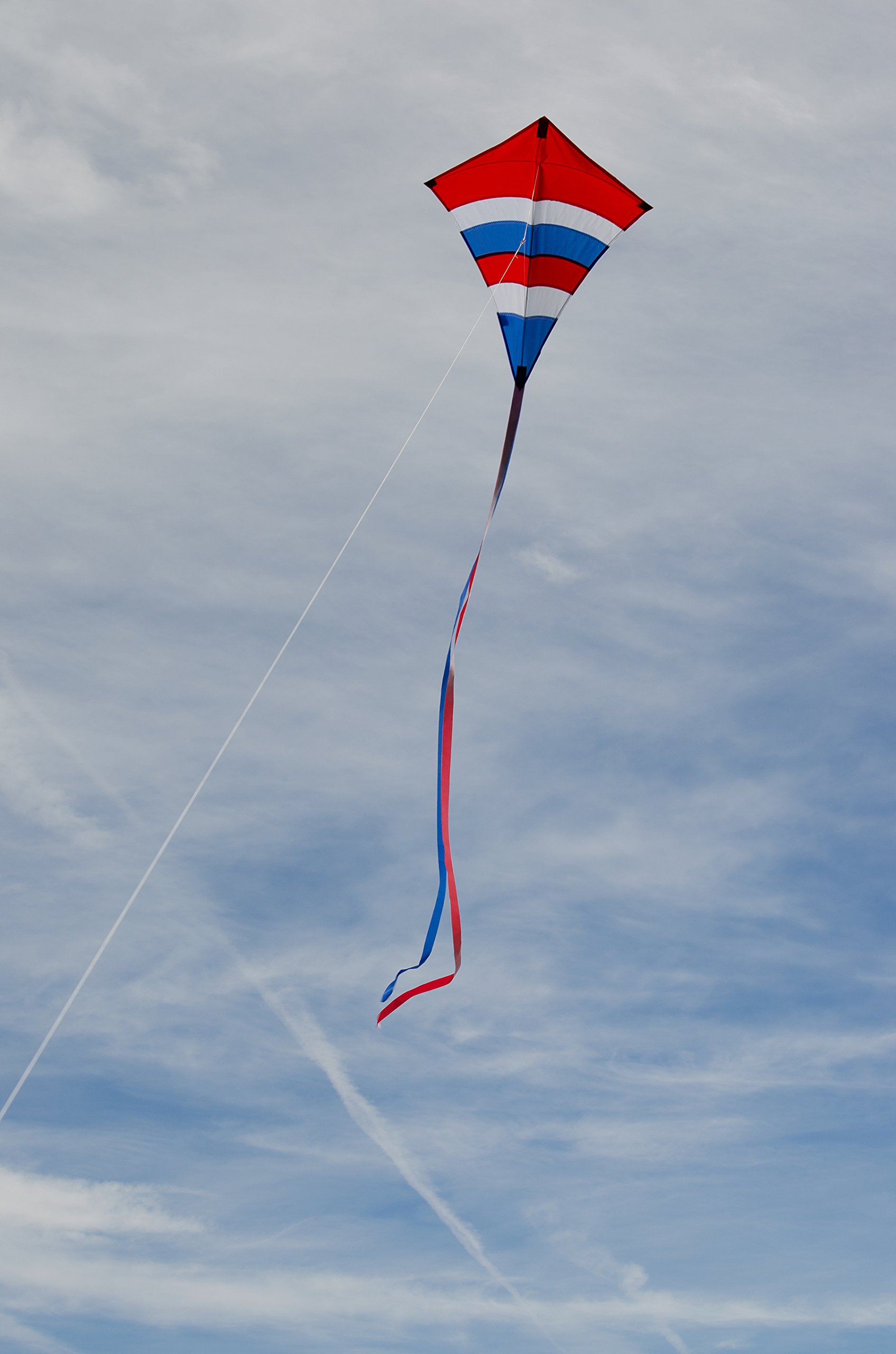 Premier Kites Large Easy Flyer - Panda Bear