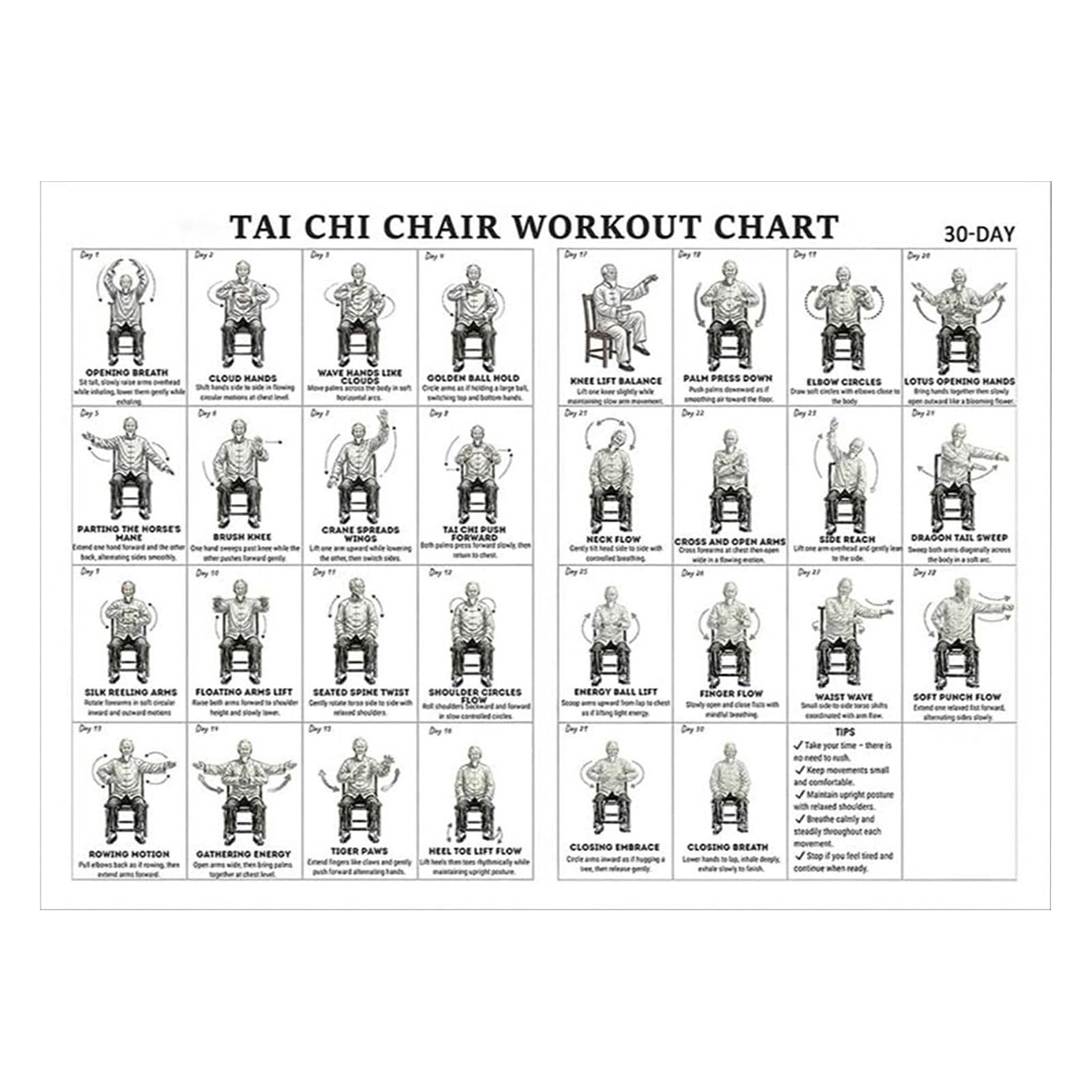 Tai Chi Chair Workout Chart Poster 12x18 Inch Foldable Canvas Exercise Guide Wall Art for Home Gym Office Studio Living Room Bedroom Decor for Men