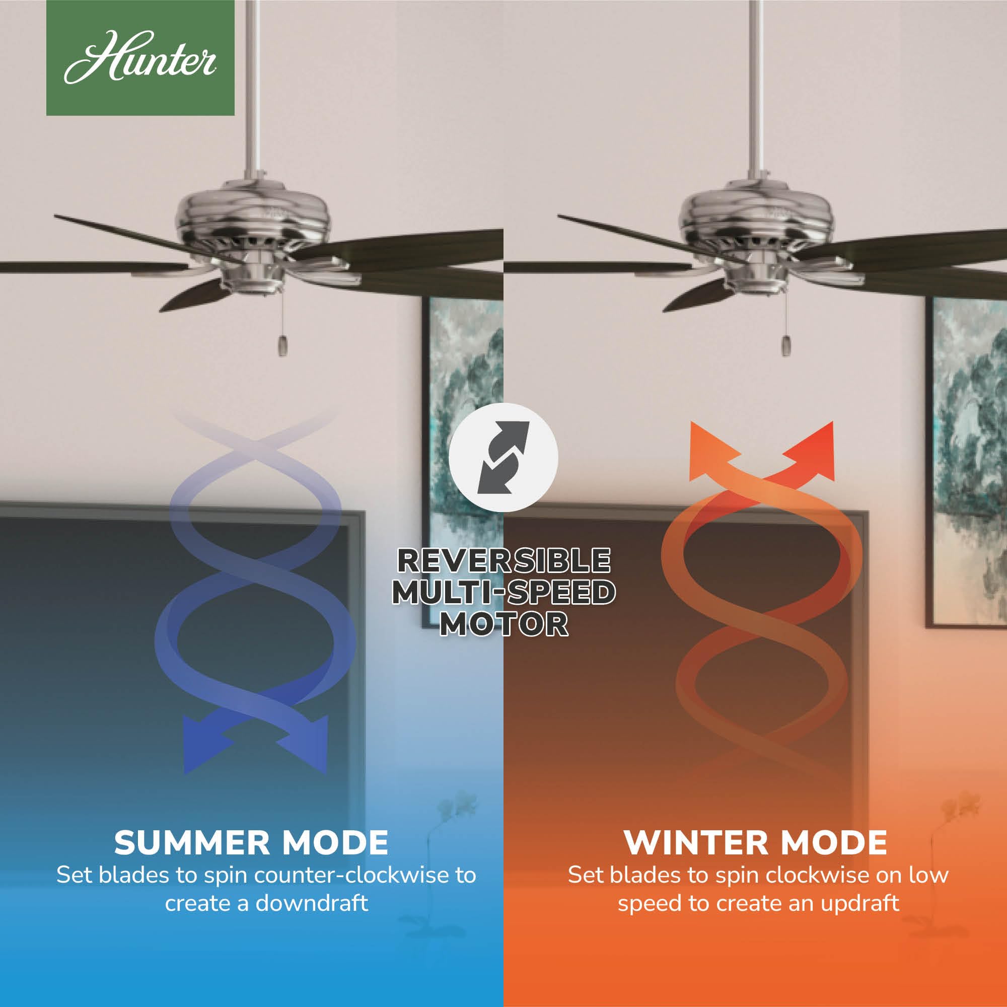 Hunter 52 inch Indoor Ceiling Fan No Light with Pull Chain