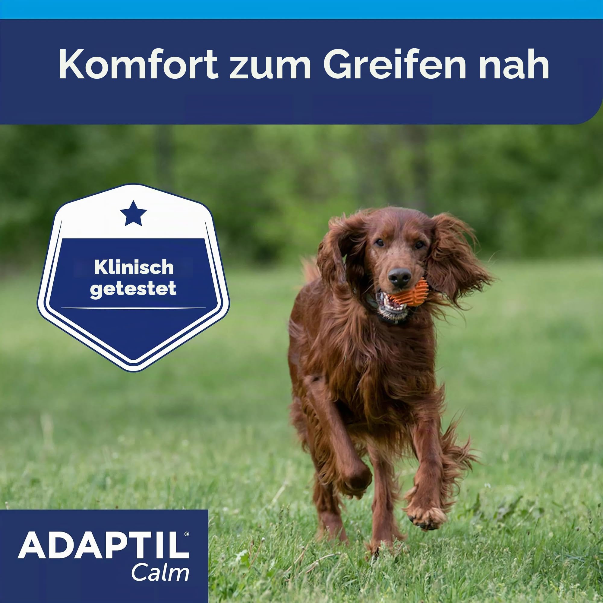 ADAPTIL Calm Beruhigendes Halsband für Hunde, Größe M/L, mittelgroße und große Hunde, beruhigende Pheromone, Stressabbau für hyperaktive, ängstliche Hunde, Entspannung für Hunde, Reisen und stressige