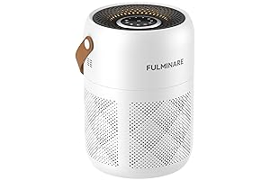 Fulminare Air Purifier Filter: Superior Protection for a Healthier Home