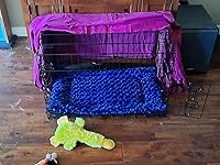 Review Image by Conner Romesco Conner Romesco