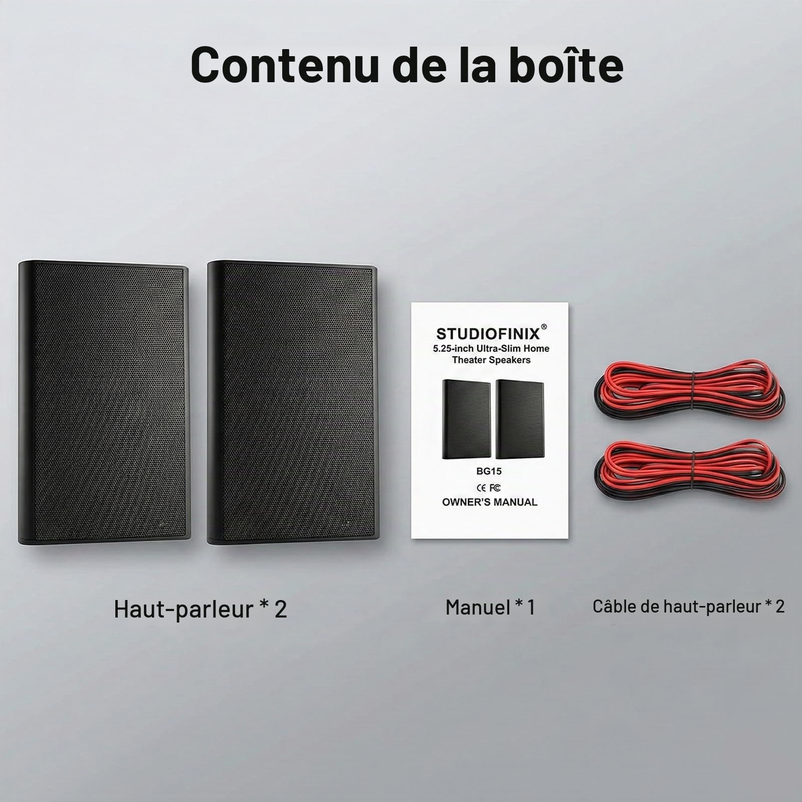 STUDIOFINIX Enceintes murales Ultra Fines 5,25 Pouces 240W, 8 Ohms, Enceintes passives pour Home cinéma intérieur, Chambre, Cuisine, Salon, Noir (Paire)
