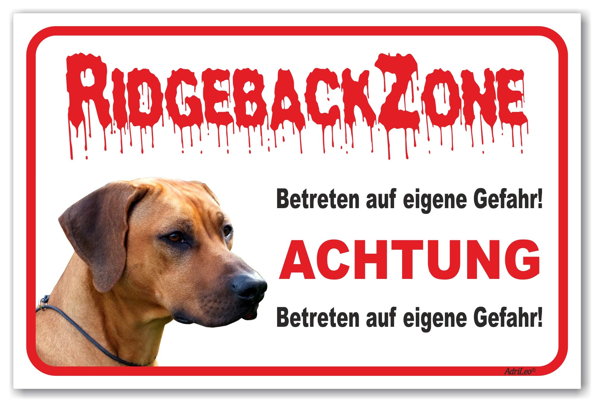 Warnschild „Protected By Rhodesian Ridgeback“ – 30,5 X 20,3 Cm, Aluminium, Wetterfest, Für Haus, Geschäft & Auffahrt