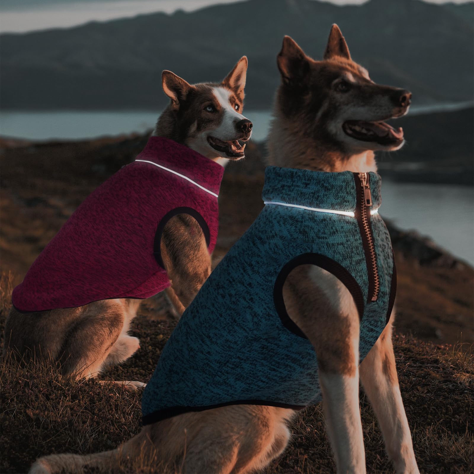 ROZKITCH Suéter para perro, chaqueta para perro con forro polar, abrigo de punto para perros pequeños con apertura de cremallera para arnés, chaqueta de forro polar para perro, cuello ajustable,