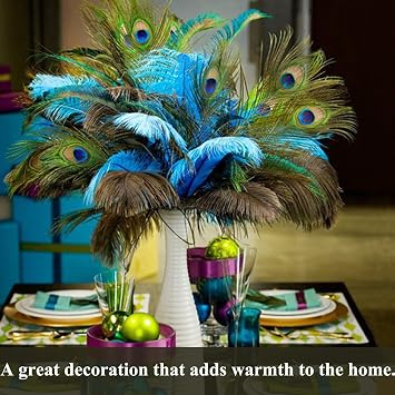 15Pcs Peacock Feathers, Peacock Feathers Long, Real Natural Peacock Eye Feathers, 10-12 Inches Peacock Tail Feather for Carnival Revelry Masquerade Costume Wedding Vase Christmas Party DIY Art & Craft