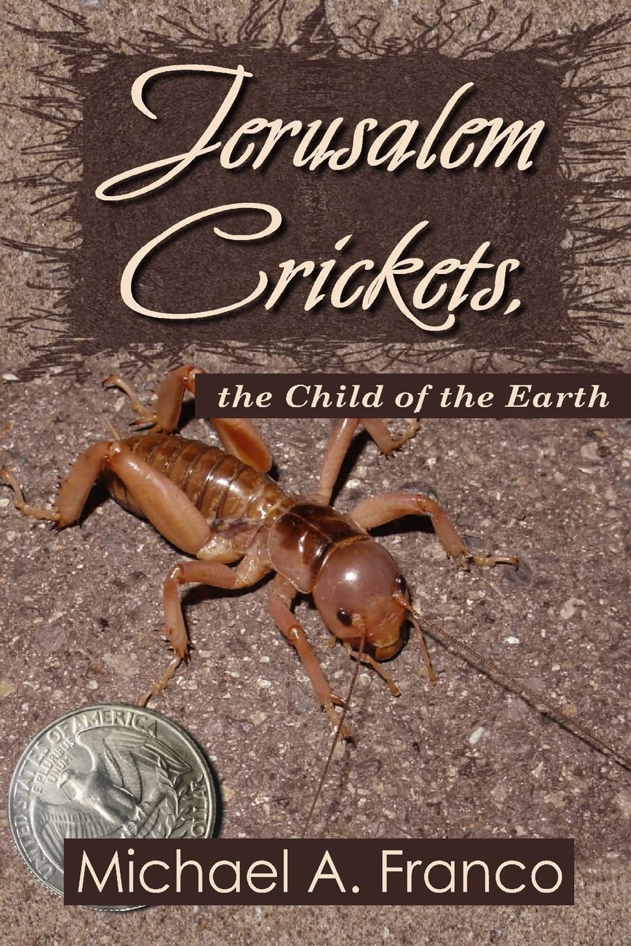 Jerusalem Crickets, the Child of the Earth (Strange Little Creatures)
