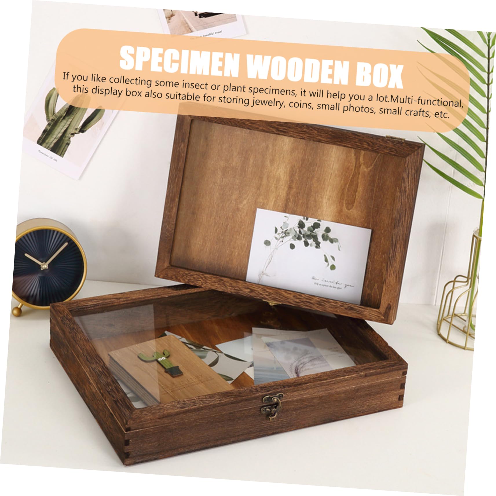 Cabilock Boîte à Spécimens pour Insectes Vitrine Rétro avec Couvercle Transparent Rangement Multifonctionnel pour Objets de Collection Caisse