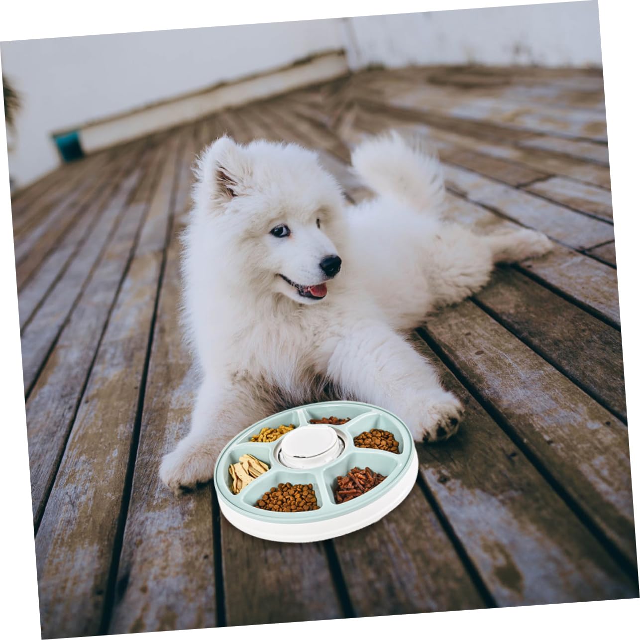 UKCOCO Ciotola per Alimenti per Cani Staccabile Design Antiscivolo Facile da Pulire Somministrazione di Cibo Adatta per Pasti Pratica per Animali Domestici