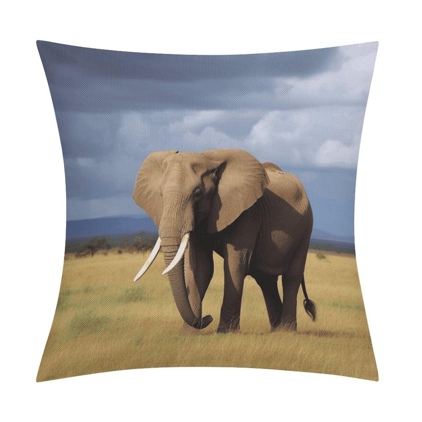 FekiLoot Africa Grassland Elephant Throw Pillow Cover Soft Square Cushion Case Farmhouse Cushion Cover Decorative Pillow Cover Modern Pillowcase for Sofa Living Room Bed Home Decor 18x18 Inch