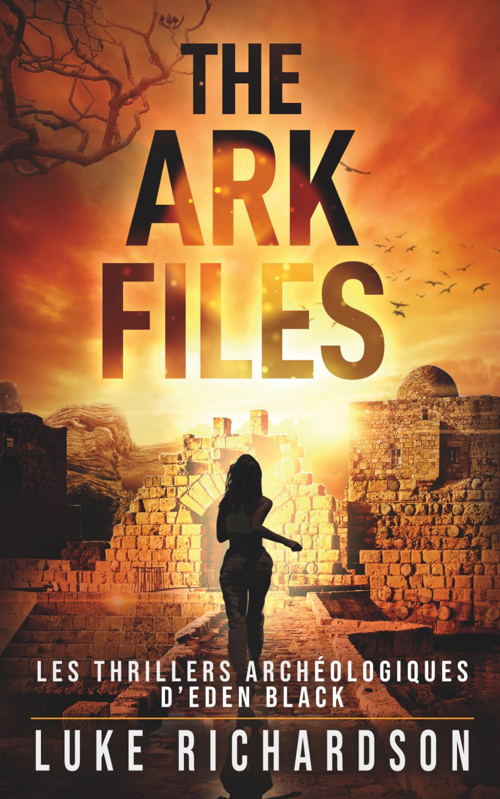 The Ark Files: Un Thriller Archéologique Palpitant (Version Française) (Les Thrillers Archéologiques d’Eden Black)