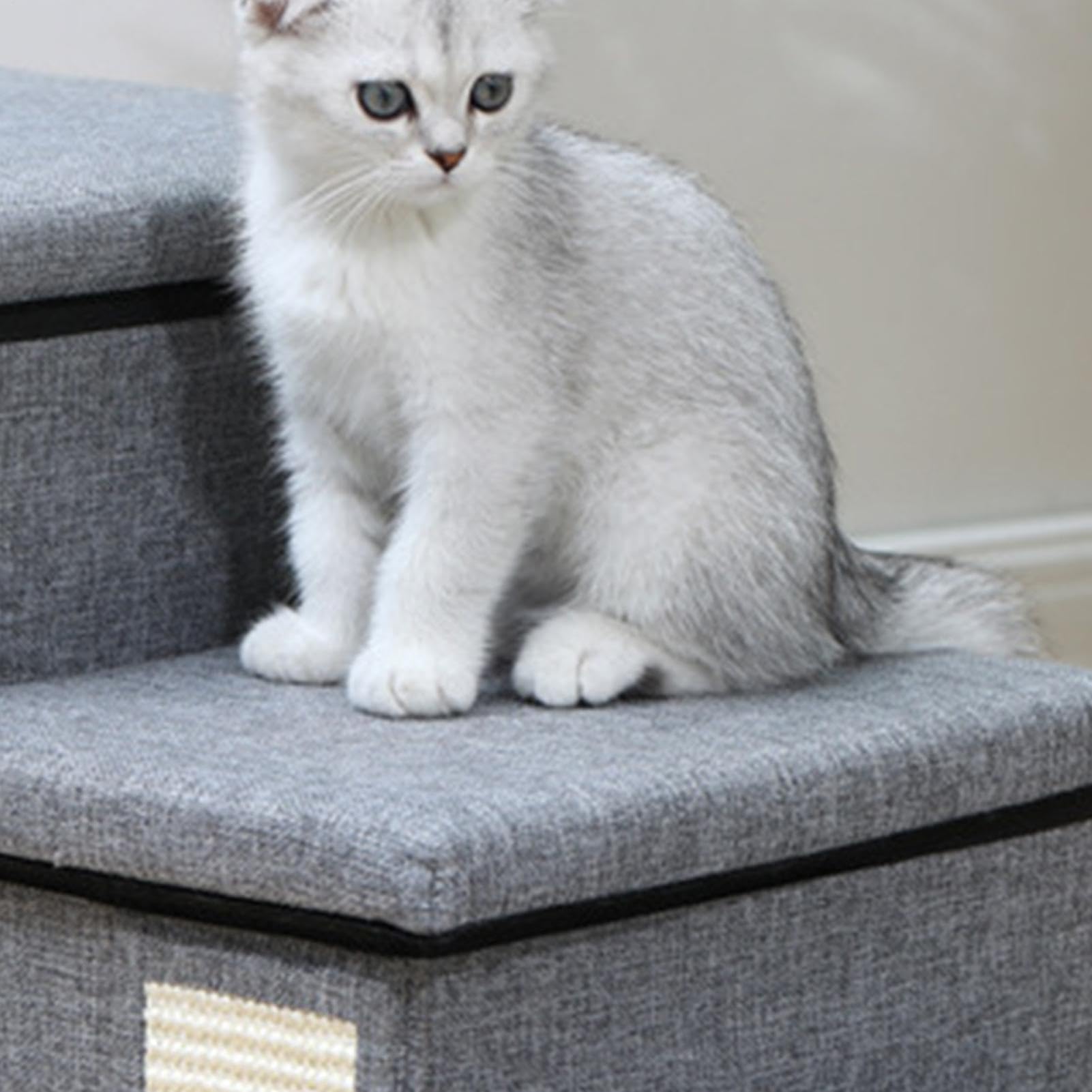 Scale Per Cani Con Contenitore, Gradini Per Cani Per Letto - Organizer Per