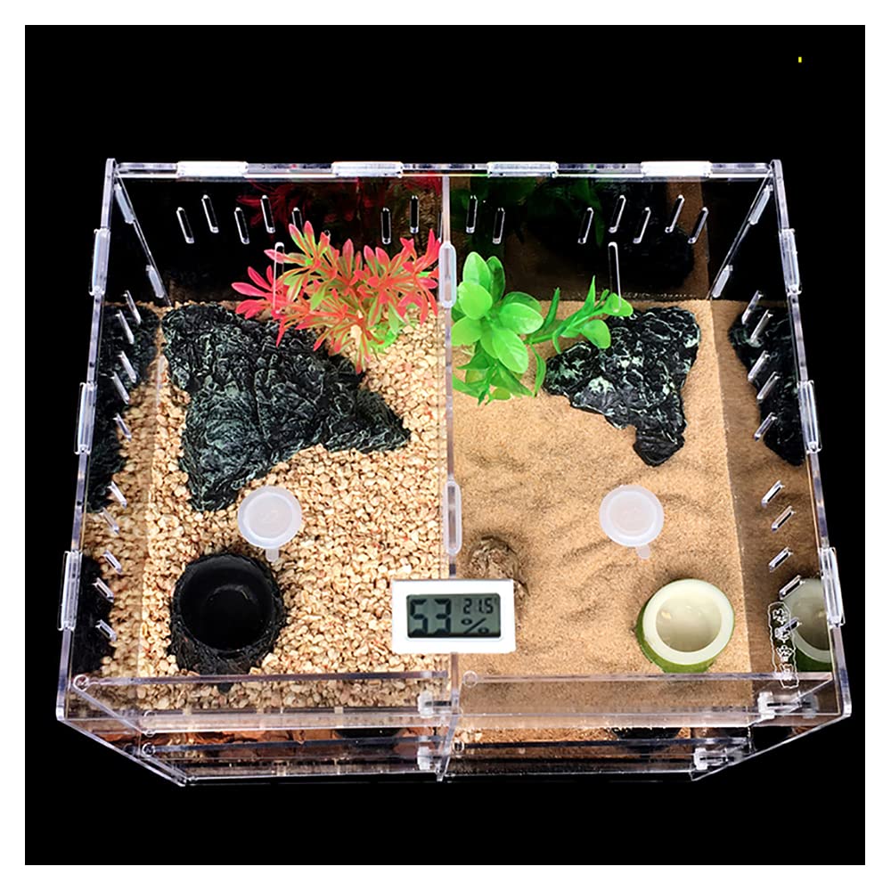 Buy EYCIEROT Reptile Terrarium for Double space Upgrade Glass Reptile