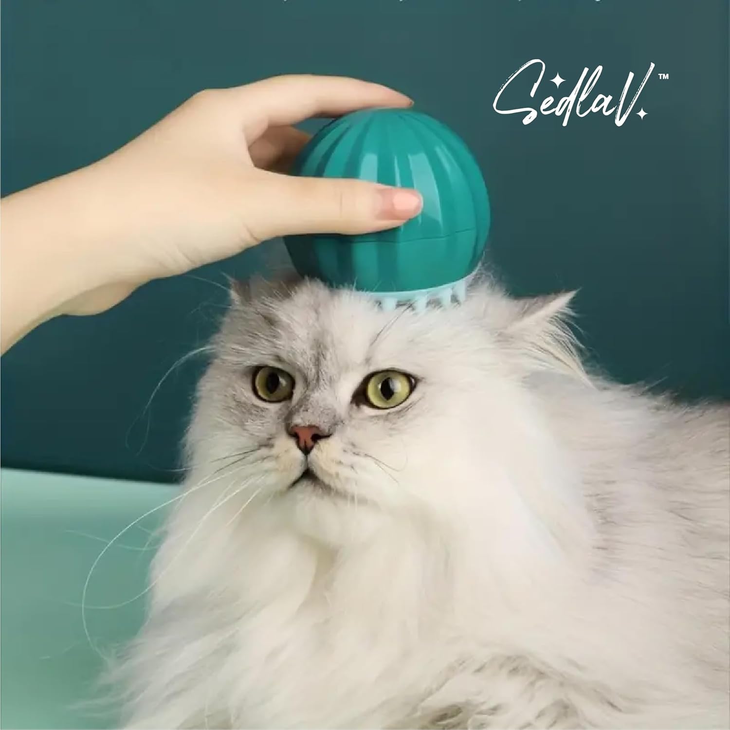 SEDLAV Cat Dog Hair Brush - Pet Hair Remover & Deshedding Comb with Unique Cactus Design - Wet/Dry Use for Bath, Massage & Hairdressing - Cleaning & Cat Deshedder Brush for Tangles, Knot Removal