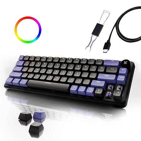 Kreo Hive 65 RGB Mechanical Gaming Keyboard | Pre-Lubed Switches, Anti-Ghosting, 5-Pin Hot-Swap | Wired 65% Keyboard with RGB Backlight & Detachable USB-C Cable (Black)