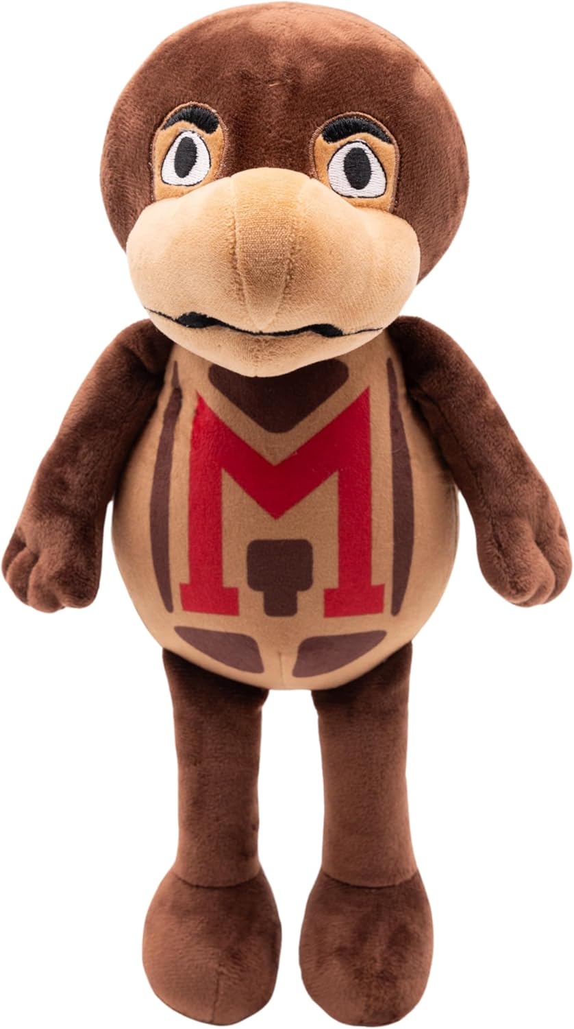 Maryland Testudo Maryland Testudo