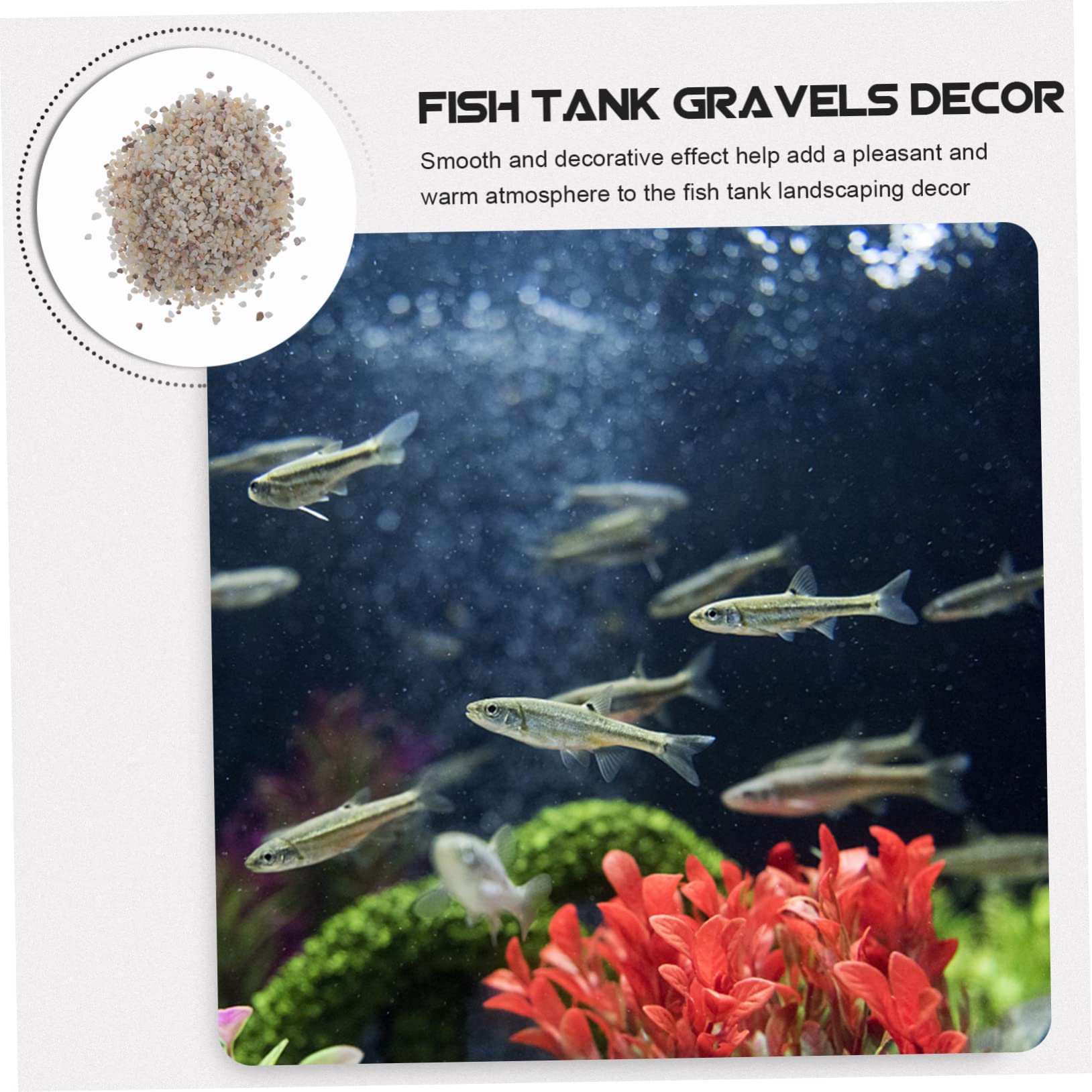 Aquarium Rocks Gravier Aquarium Galets Décoratifs Naturels Polis Petits pour Aquariums