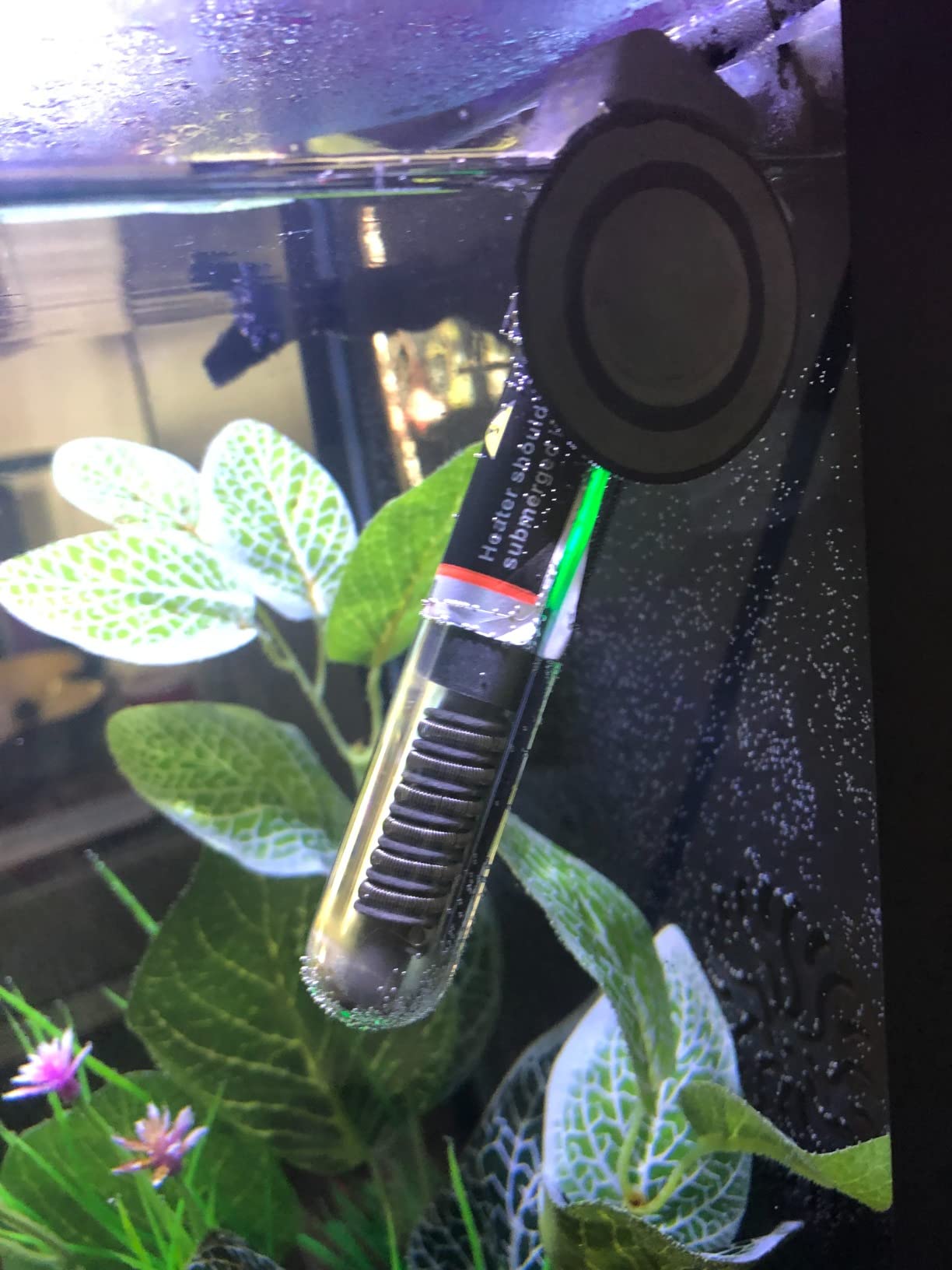2/mo Finance PULACO 25W Small Aquarium Betta Heater with Free