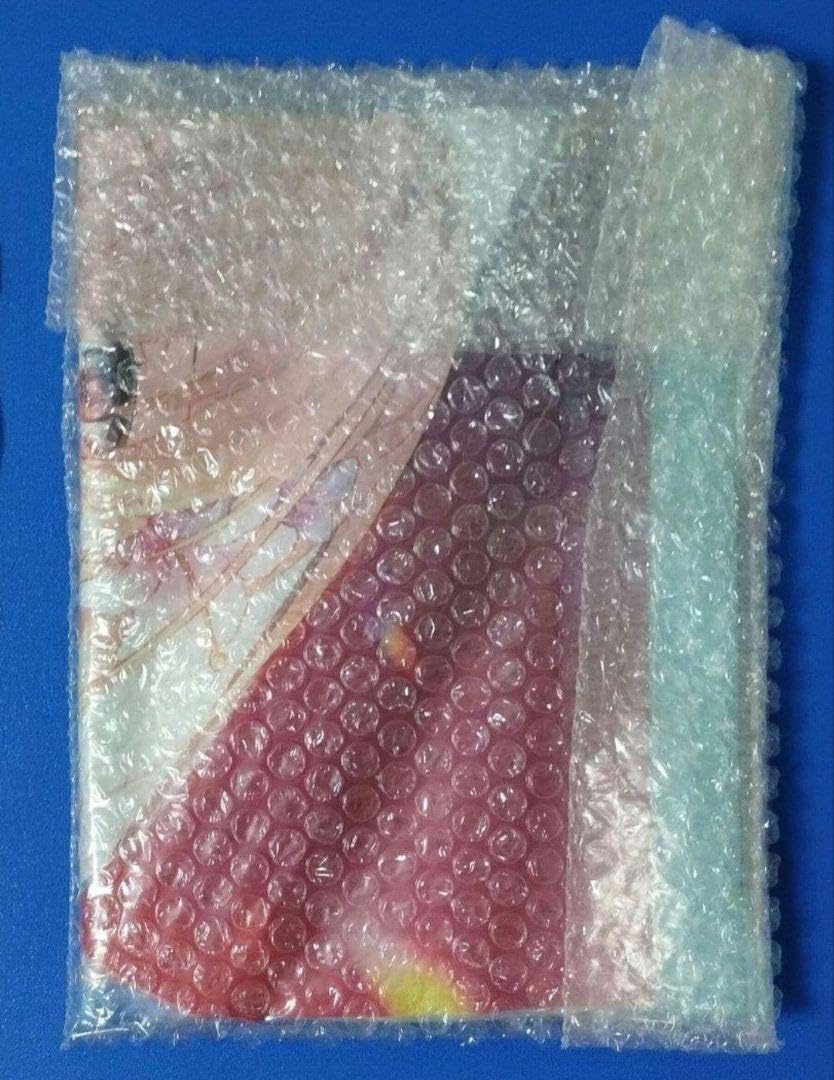 遠坂あさぎ画集 Lumiere　ジェス　B2タペストリー　豚のレバーは加熱しろ B2タペストリー ジェス 水着 豚のレバーは加熱しろ 遠坂あさぎ