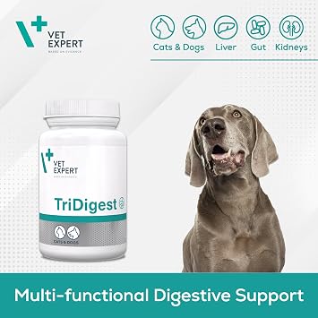 Vet Expert TriDigest Digestive Support for Dogs & Cats - Multi-Functional Formula for Stomach, Liver and Pancreas, 40 Tablets