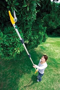 Amazon.co.jp: ムサシ 高枝切鋏 【ポールスリム】 3段式 4m