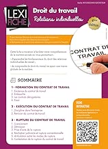 Download Droit du travail : Relations individuelles PDF