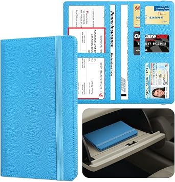 LINTRU 6-Pocket Car Registration & Insurance Card Holder for Glovebox