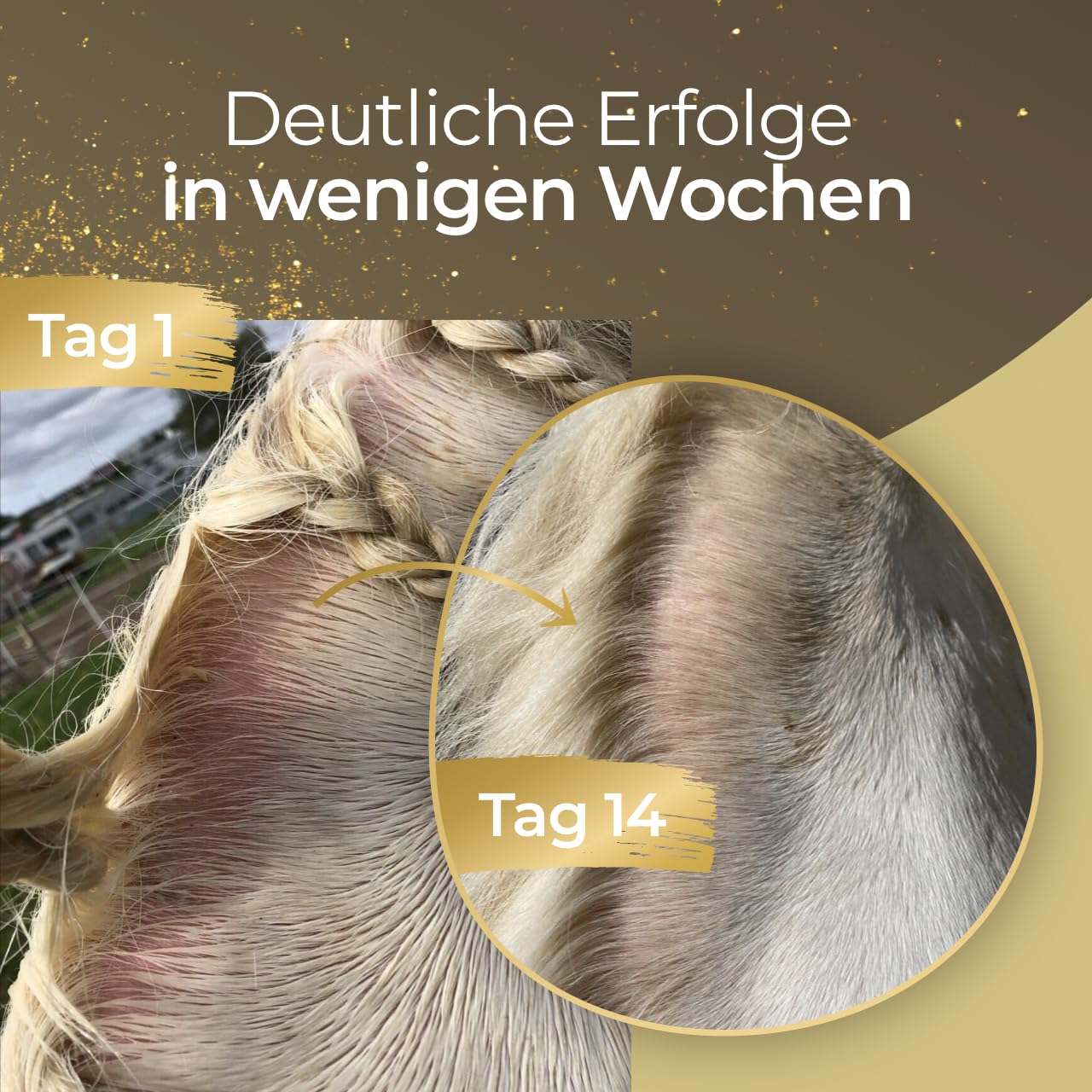Haut & Fell Spray 1L - Natürliche Fellpflege für Pferde - Gegen Juckreiz - Feuchtigkeitsspendend - Pferde Zubehör - Dopingfrei - Made in Germany