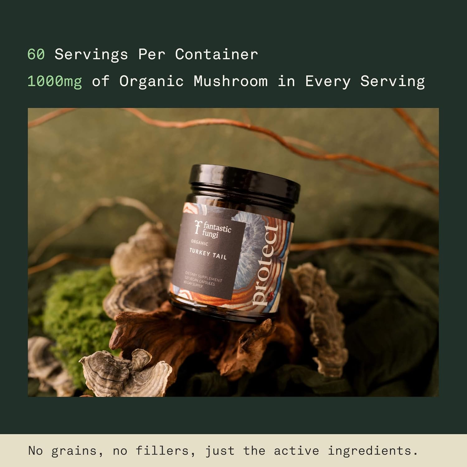 Fantastic Fungi Turkey Tail Mushroom Capsules - Organic Mushroom Extract for Gut Health & Immune Support, Functional Adaptogenic Turkey Tail Extract Supplement, Vegan Pills, 120 Caps (2-Month Supply) - Image 5