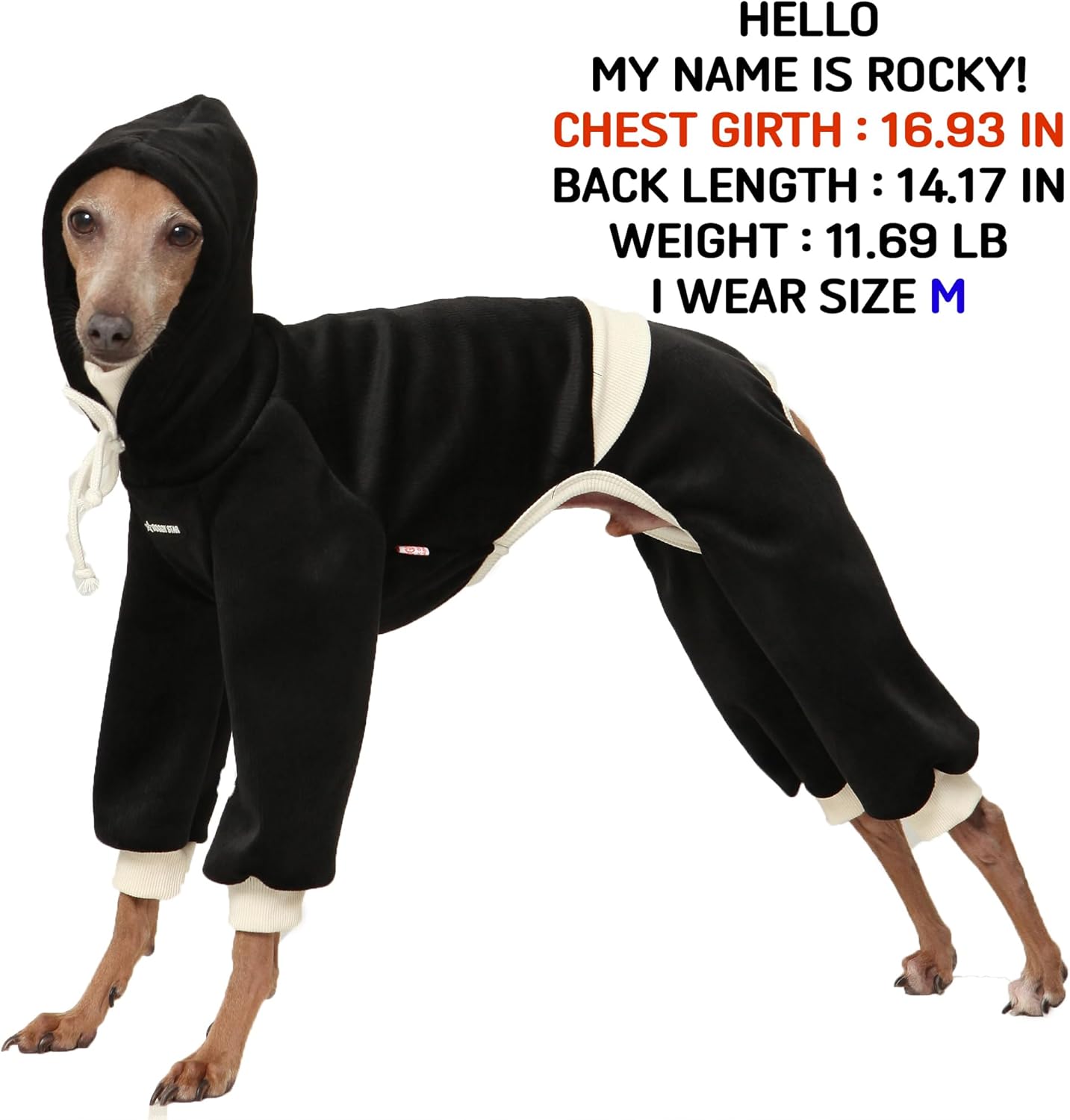 D Doggy Star Italian Greyhound Clothes, Corduroy Velvet Hooded Jumpsuit, Stretchy and Cozy (M,Hoodie Black)