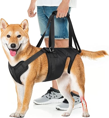 Miniatura 8 de Arnés de elevación para perros, cabestrillo para perros grandes y medianos, soporte para patas traseras para orinar. Ideal para personas mayores