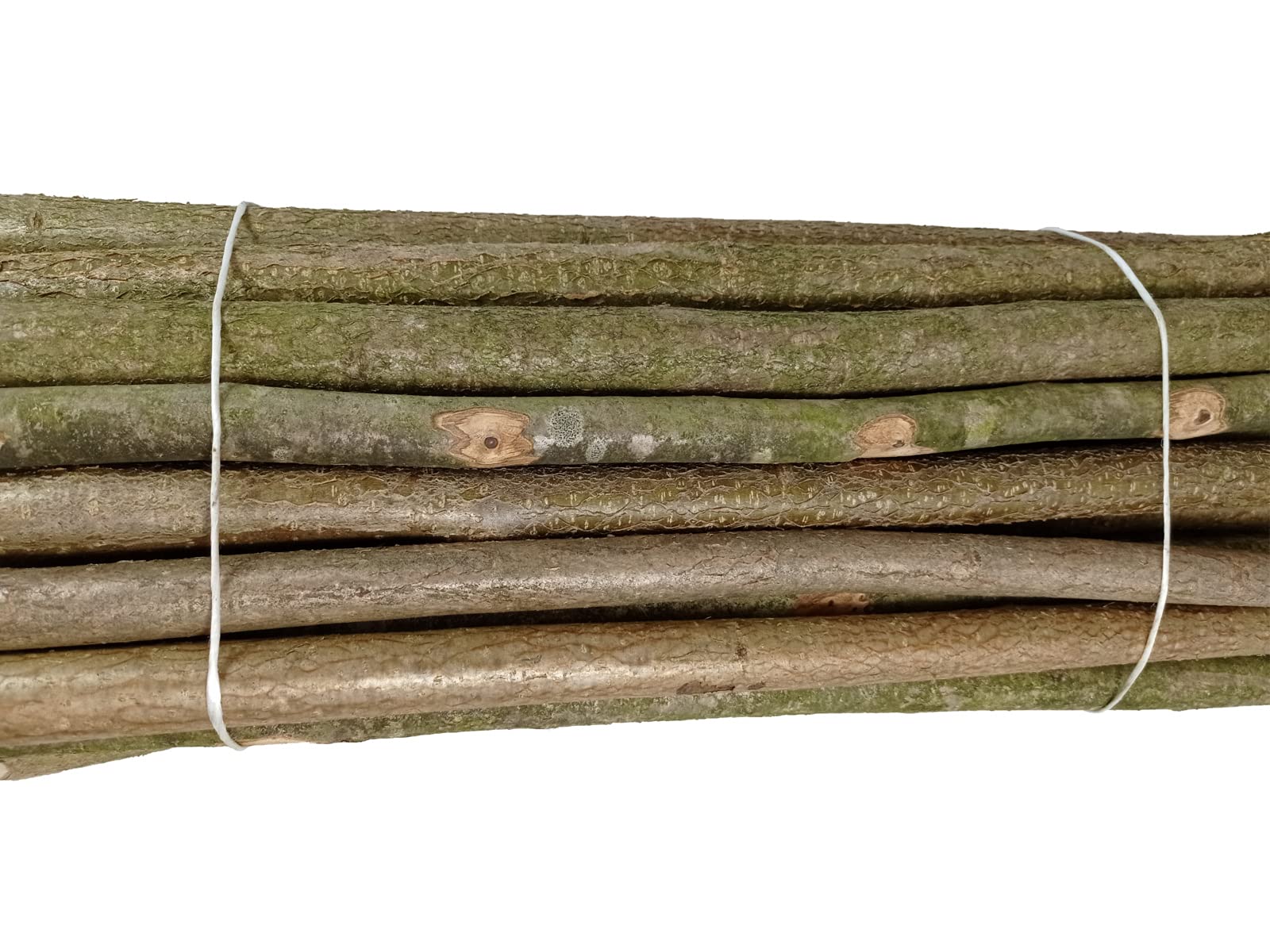 Pali per recinzione 25 pezzi naturali - Pali arrotondati con tassello, legno di noce, recinzione da giardino - H 100 cm