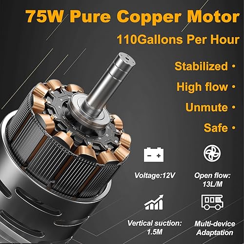 Miniatura 9 de Bomba eléctrica de transferencia de combustible de 12 V CC, transfiere hasta 110 galones de gasolina o diesel por hora, perfecta para automóviles,