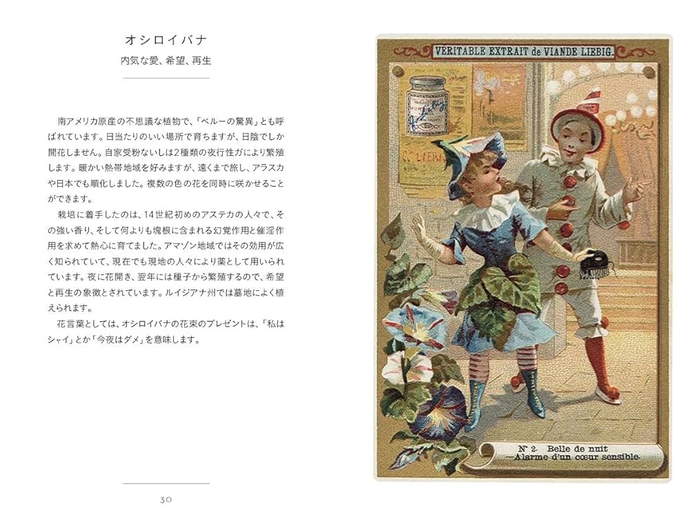 JūliusA486 ちいさな手のひら事典 花言葉 ジャンクジャーナル 花言葉 (ちいさな手のひら事典) | ナタリー・シャイン, ダコスタ