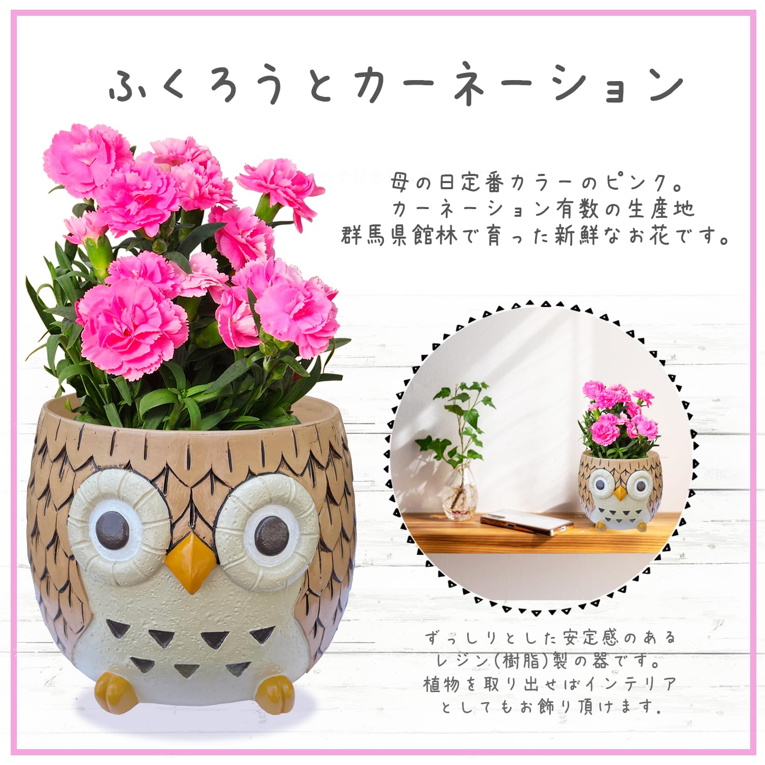 Amazon.co.jp: 花のギフト社 母の日 花 鉢植え カーネーション