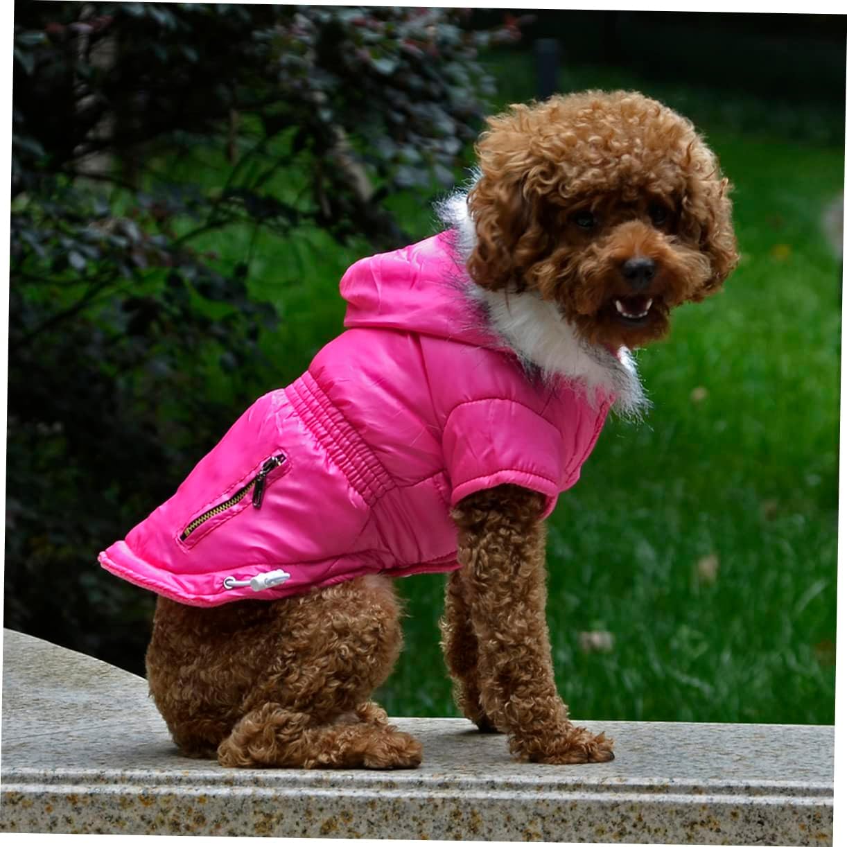 Angoily 3pcs Dog Cold Weather Coats Winter Vest -up Pet Jacket Large Pet Coats for Medium Dogs